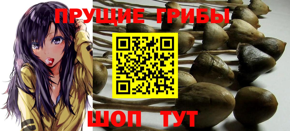 Галлюциногенные грибы MAGIC MUSHROOMS  Псилоцибиновые грибы Cubensis  Вход с VPN  Улан-Удэ 
